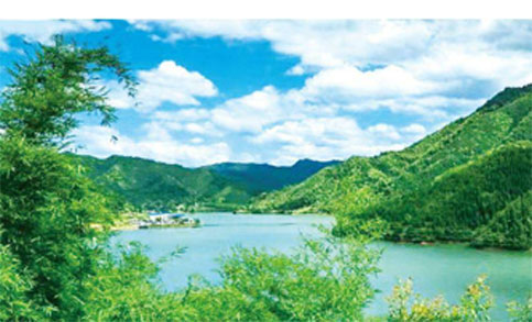 環(huán)衛(wèi)車(chē)輛管理方案